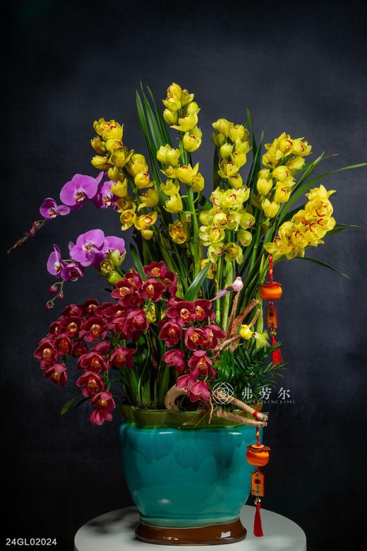 24GL02024 商品图0