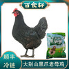 百食轩 安徽大别山黑凤老母鸡2只装（小号，彩袋彩箱） 商品缩略图0