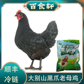 百食轩 安徽大别山黑凤老母鸡2只装（小号，彩袋彩箱）
