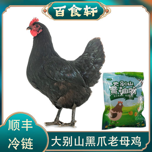 百食轩 安徽大别山黑凤老母鸡2只装（小号，彩袋彩箱） 商品图0