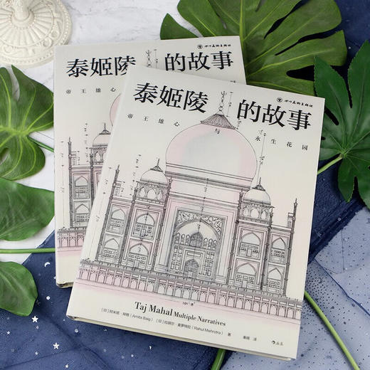 泰姬陵的故事  帝王雄心与永生花园  320幅全彩精美图片 揭秘泰姬陵前世今生 商品图1