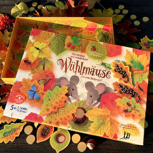 德国桌游 《秋叶虫语》 适玩年龄5+ 寻宝类游戏 记忆力 自然科普-42448 商品图4