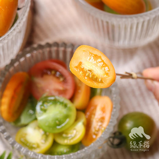 有机圣女果 3斤（包邮） | 绿家自产 * organic cherry tomato | Self-production 商品图7