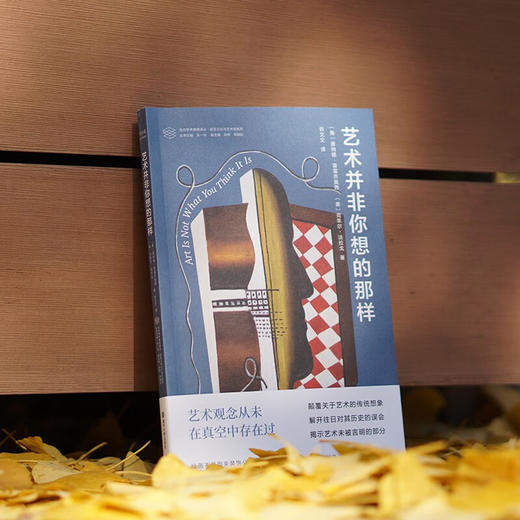 艺术并非你想的那样 唐纳德·普雷齐奥西 著 艺术理论与评论 商品图2