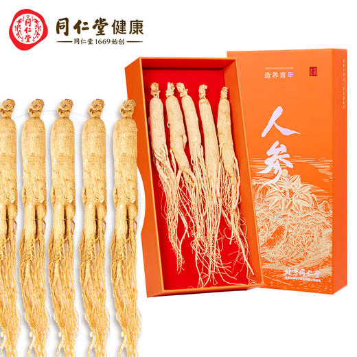 北京同仁堂  造养青年人参5支 100克 礼盒装 园参 源自长白山  参须浓密  参味浓郁SY 商品图6