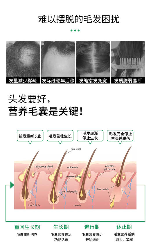 腺苷头皮营养液/头皮营养液 商品图7