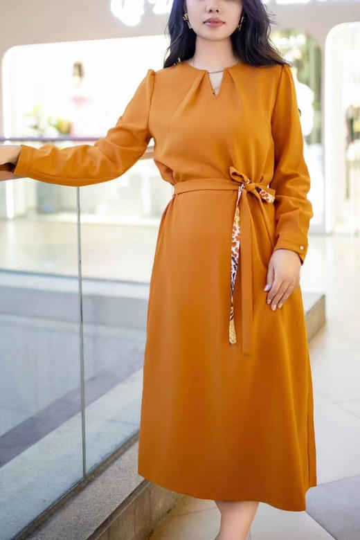 -赪霞色HJ1S37 商品图5