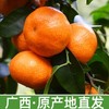 正宗广西砂糖橘10斤箱装【BH】 商品缩略图1