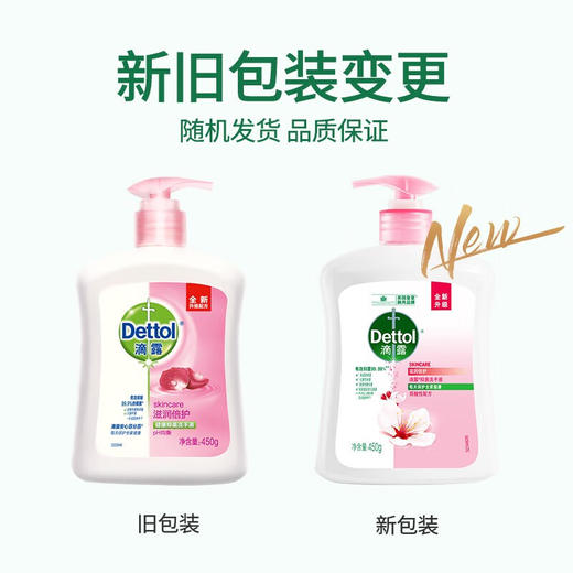 滴露滴露洗手液植物呵护450g+450g清香家用滋润清洁 经典松木450g+滋润倍护450g 商品图2