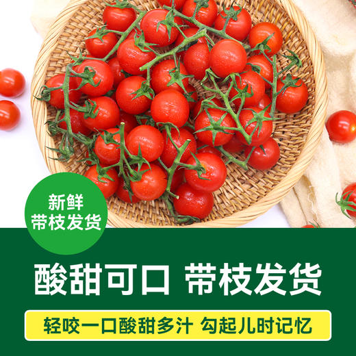 【绿行者】散串樱桃番茄2kg 商品图1