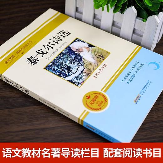 全本名著·课程化阅读丛书 泰戈尔诗选 非塑封 商品图1