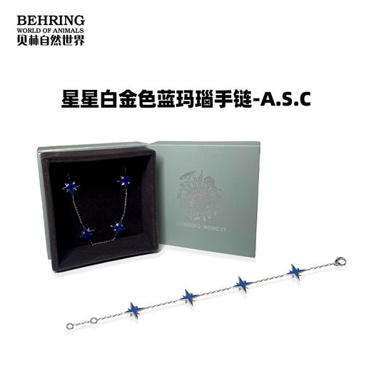 贝林自然世界星星白金色蓝玛瑙项链手链耳钉 商品图2