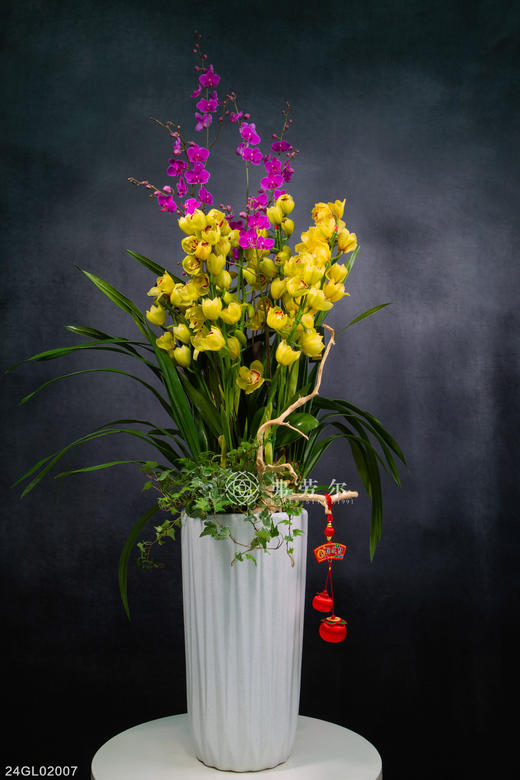 24GL03007 商品图0