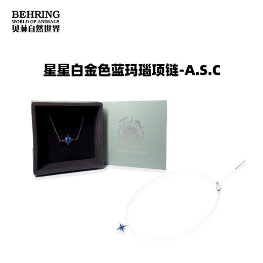 贝林自然世界星星白金色蓝玛瑙项链手链耳钉 商品图3