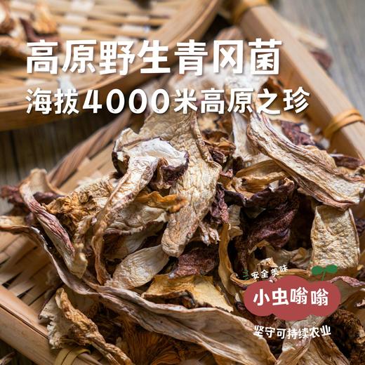 高原野生青冈菌 60g | 合作农友生产，产自四川甘孜雪山高原，生产者：李建程 &【公平贸易农人定价】 商品图0
