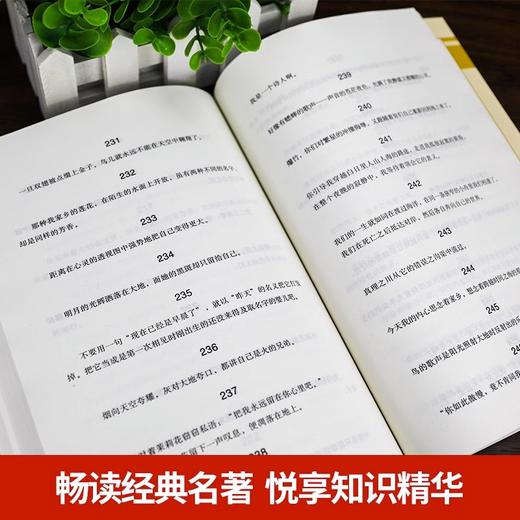 全本名著·课程化阅读丛书 泰戈尔诗选 非塑封 商品图3