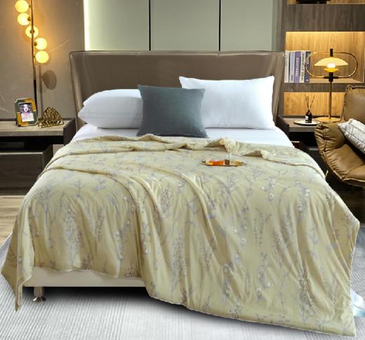 【欧典梦娜】漫时光丝柔棉夏被 商品图0