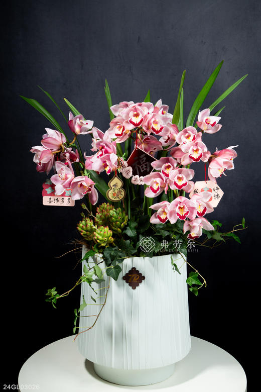 24GL03026 商品图1