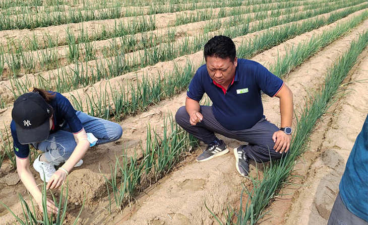 出发内蒙古实拍 出发内蒙古实拍