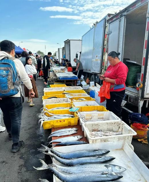 【春节寒假】看雪海\吃海鲜\赶大集\泡温泉\住五星\逛古城,五天四晚,威海亲子自驾|5~15岁亲子 商品图5
