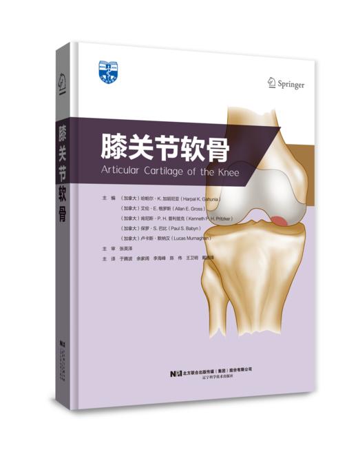 膝关节软骨  主审 张英泽 辽科出版 商品图0