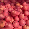 【洛川苹果5斤】| 拥有恰到好处的酸甜比 颜色红火又喜庆，口感脆甜、多汁、不打蜡、不催熟，是出口世界六大洲的“国礼苹果” 商品缩略图1