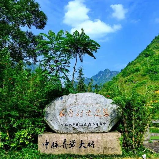 边玩边养老| 漫游巴马，寻梦诗画田园，乐赏秀丽自然，探秘长寿之乡的传奇奥秘！ 商品图5