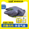 原种泰和乌鸡【顺丰冷链】五爪复冠老品种，无兽残，无重金属，无激素，纯种鸡 商品缩略图5