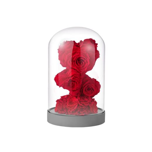 ROSEONLY诺誓  永生玫瑰 水晶之恋  幸福龙 幸福兔 幸福熊 玫瑰花玻璃钟罩礼盒 送女友爱人礼物 商品图7