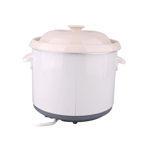 伊莱克斯 True-love电炖锅 EGSC-250 商品图3