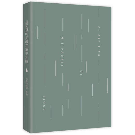 我父母的灵魂在雨中升腾 帕特里西奥·普隆 著 小说 商品图3