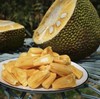 超大菠萝蜜 一口气吃到爽😋【海南果园现发海南黄肉菠萝蜜大果21-24斤】一整个新鲜菠萝蜜热带黄肉果肉特产 坏果包赔✈️ 顺丰/京东随机发货 商品缩略图0