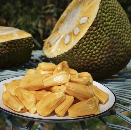 超大菠萝蜜 一口气吃到爽😋【海南果园现发海南黄肉菠萝蜜大果21-24斤】一整个新鲜菠萝蜜热带黄肉果肉特产 坏果包赔✈️ 顺丰/京东随机发货 商品图0