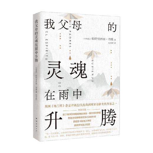 我父母的灵魂在雨中升腾 帕特里西奥·普隆 著 小说 商品图4