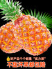 【5斤装只要？ 香甜凤梨 嘎嘎好吃！】海南金钻凤梨 阳光好水分足 甜蜜多汁 嘎嘎好吃 爆炸凤梨 汁水充足 老少皆宜！-FLGG01 商品缩略图4