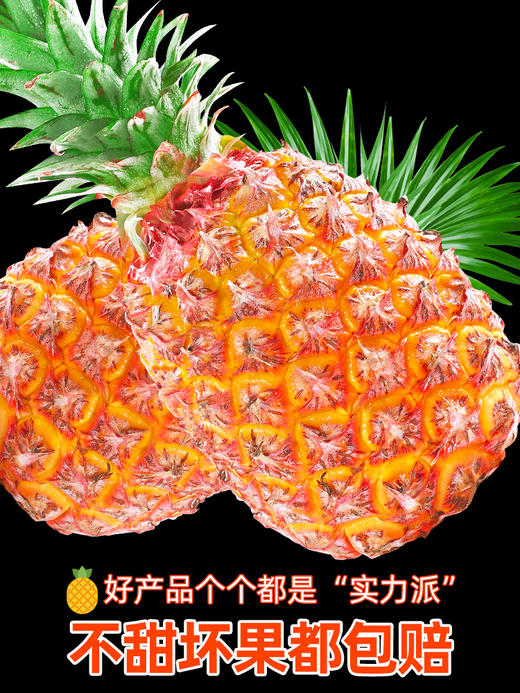 【5斤装只要？ 香甜凤梨 嘎嘎好吃！】海南金钻凤梨 阳光好水分足 甜蜜多汁 嘎嘎好吃 爆炸凤梨 汁水充足 老少皆宜！-FLGG01 商品图4