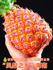 【5斤装只要？ 香甜凤梨 嘎嘎好吃！】海南金钻凤梨 阳光好水分足 甜蜜多汁 嘎嘎好吃 爆炸凤梨 汁水充足 老少皆宜！-FLGG01 商品缩略图0