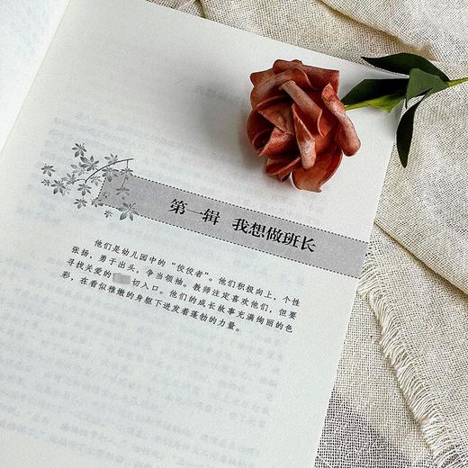 幼儿成长及发展个案研究 商品图1