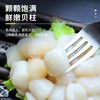 秦皇岛海湾贝柱｜颗颗饱满，肉质Q弹 商品缩略图3