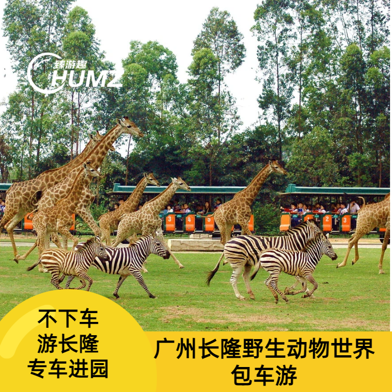 【车游长隆】专车进园游览+趣味讲解（可优惠加购旅拍）