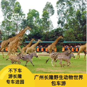 【车游长隆】专车进园游览+趣味讲解（可优惠加购旅拍）