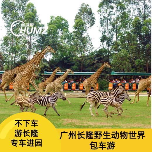【车游长隆】专车进园游览+趣味讲解（可优惠加购旅拍） 商品图0