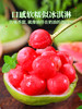 【树上熟芭乐！人称水果届“脂肪杀手”！】奶油胭脂红芭乐！树熟大果！热量低！并且含有丰富的维C！甜！香！糯！SGXH2401 商品缩略图1