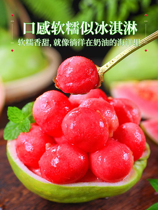 【树上熟芭乐！人称水果届“脂肪杀手”！】奶油胭脂红芭乐！树熟大果！热量低！并且含有丰富的维C！甜！香！糯！SGXH2401 商品图1