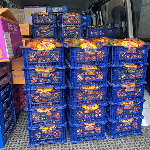 广西砂糖橘 带框10斤箱装 商品图2