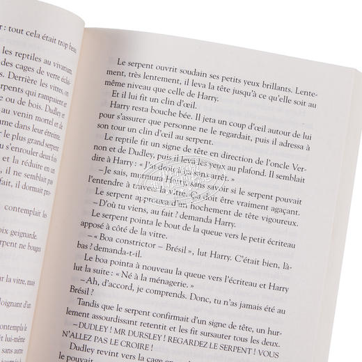 预售 【中商原版】【法文版】哈利波特1 哈利波特与魔法石 法语原版 法文原版书 J.K.罗琳 Harry Potter J.K. Rowling 商品图2