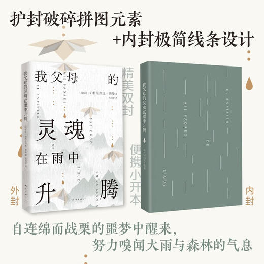 我父母的灵魂在雨中升腾 帕特里西奥·普隆 著 小说 商品图1