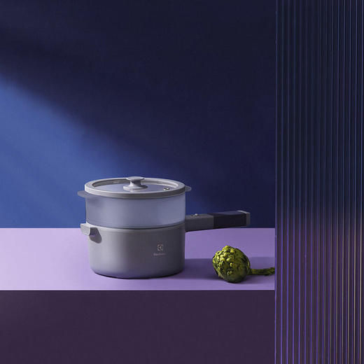 伊莱克斯 多用锅紫色 EGFS-5160 商品图0