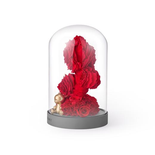 ROSEONLY诺誓  永生玫瑰 水晶之恋  幸福龙 幸福兔 幸福熊 玫瑰花玻璃钟罩礼盒 送女友爱人礼物 商品图5
