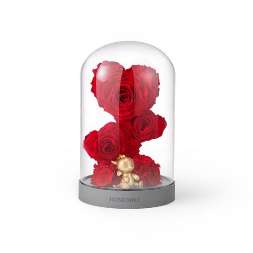 ROSEONLY诺誓  永生玫瑰 水晶之恋  幸福龙 幸福兔 幸福熊 玫瑰花玻璃钟罩礼盒 送女友爱人礼物 商品图8